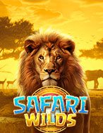 Trải Nghiệm Huyền Thoại Tại Mãnh Thú Vương – Safari Wilds Slot – Đăng Ký & Nhận Quà Khủng