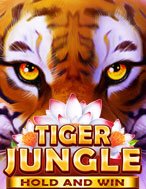 Tiger Jungle Slot: Cổng Game Slot Đỉnh Cao – Đánh Bại Thách Thức, Rinh Quà Lớn