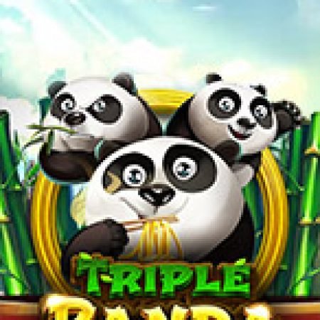 Triple Panda Slot – Kho Game Slot Online Uy Tín và Đa Dạng Nhất