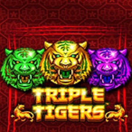 Tìm Hiểu Về Tam Hổ Phát Tài – Triple Tigers Slot: Cách Chơi, Tips & Tricks Để Thắng Lớn