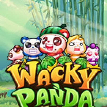 Hướng Dẫn Đăng Ký Gấu Trúc Wacky – Wacky Panda Slot: Bắt Đầu Hành Trình Giành Jackpot