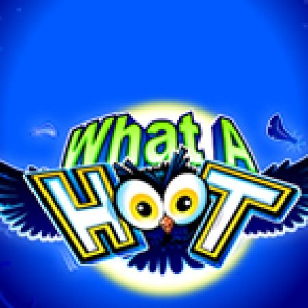 Tìm Hiểu Về Đêm Cú Vọ – What A Hoot Slot: Cách Chơi, Tips & Tricks Để Thắng Lớn