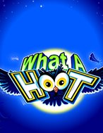 Tìm Hiểu Về Đêm Cú Vọ – What A Hoot Slot: Cách Chơi, Tips & Tricks Để Thắng Lớn