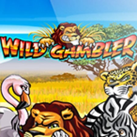 Wild Gambler Slot – Hướng Dẫn Chơi Slot Online Chi Tiết Cho Người Mới