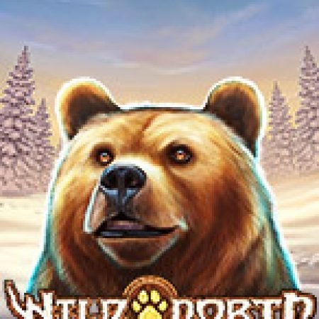 Phương Bắc Hoang Dã – Wild North Slot – Hướng Dẫn Chơi Slot Online Chi Tiết Cho Người Mới