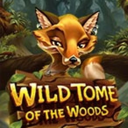 Wild Tome of the Woods Slot – Hướng Dẫn Chơi Slot Online Chi Tiết Cho Người Mới