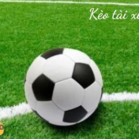 Kèo tài xỉu 2 3/4 là gì? Và bắt kèo 2 trái rưỡi 3 trái thế nào