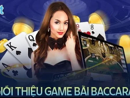 Game bài 8Xbet – Tận hưởng trò chơi bài trực tuyến đỉnh cao